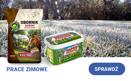 Piękny trawnik jesienią